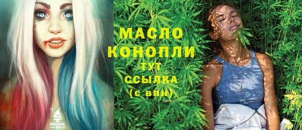 молекула духа Арсеньев