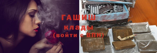молекула духа Арсеньев