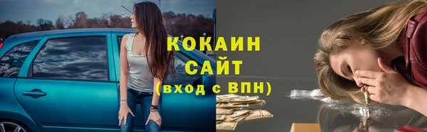 молекула духа Арсеньев