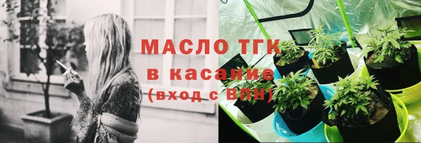 молекула духа Арсеньев