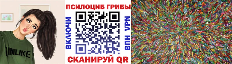 Галлюциногенные грибы Psilocybine cubensis Южно-Сухокумск